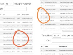 Aplikasi SPMB Menuai Sorotan Dari Orang Tua