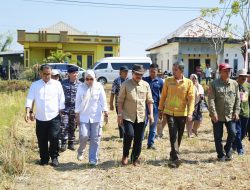 Barru Siap Jadi Daerah Percontohan Pertanian Indonesia
