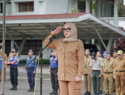 Kembali Dari Singapura, Bupati Barru Bawa Kabar Baik