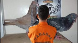 Polsek Natar Amankan Pelaku Pencuri di Merak