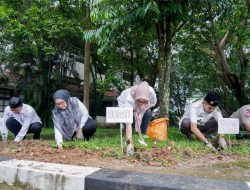 Bupati Luncurkan Gerakan Tanam Cabai Bagi ASN