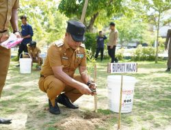 Bupati Andi Rosman Pimpin Penanaman Pohon di Taman Padduppa dan RTH Callaccu 