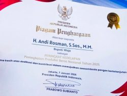 Bupati Dapat Penghargaan Dari Presiden