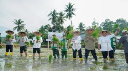 Pemkab Barru Jadikan Pertanian Sebagai Pilar Utama Pembangunan
