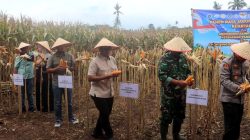 Kapolres Lampung Selatan Ikut Panen Raya