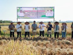 Wabup Hadiri Gerakan Panen dan Tanam Bersama