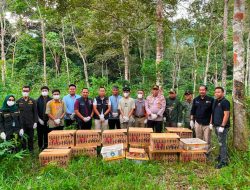 977 Ekor Burung Digagalkan di Pelabuhan Bakauheni