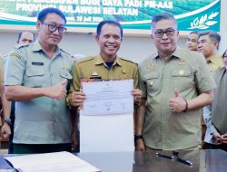 Wabup Hadiri Rakor Penerapan Perluasan Budidaya Padi PM-AAS