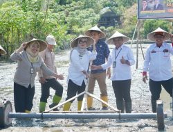 Pemkab Komitmen Sukseskan Gerakan Tanam Serentak