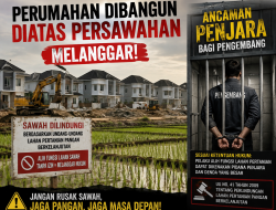 Sejumlah Perumahan di Kota Parepare Berdiri Diatas Lahan Sawah Produktif