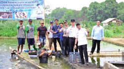 Gubernur dan Bupati Apresiasi Inovasi Pakan Mandiri